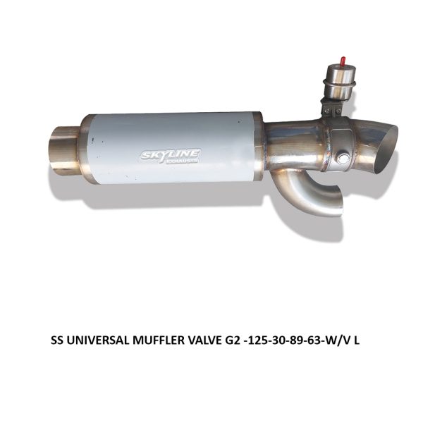 SS UNIVERSAL MUFFLERvalve G2 -125-30-89-63-WV L1