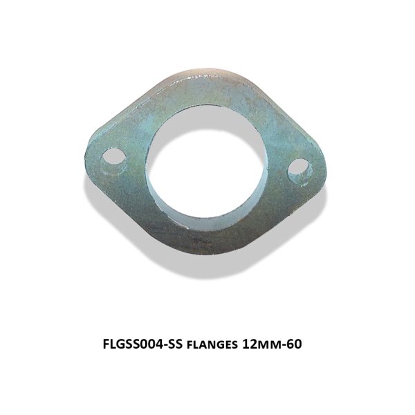 SS flanges 12mm-60