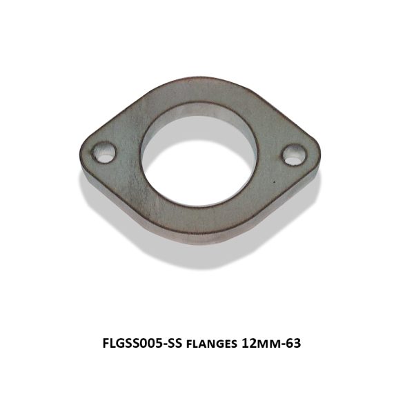 SS flanges 12mm-63