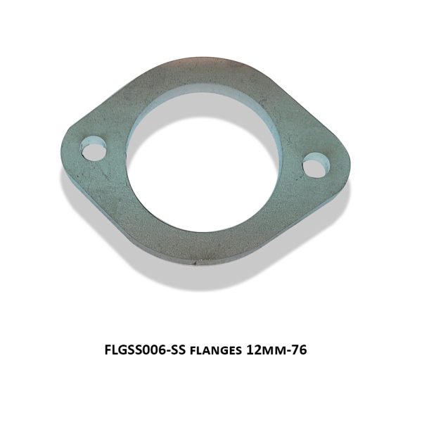 SS flanges 12mm-76