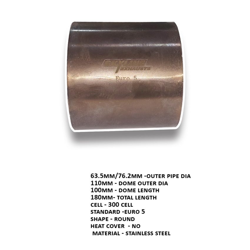 Ss Cat 300 Cell Euro 5 W/connection-110x100-R